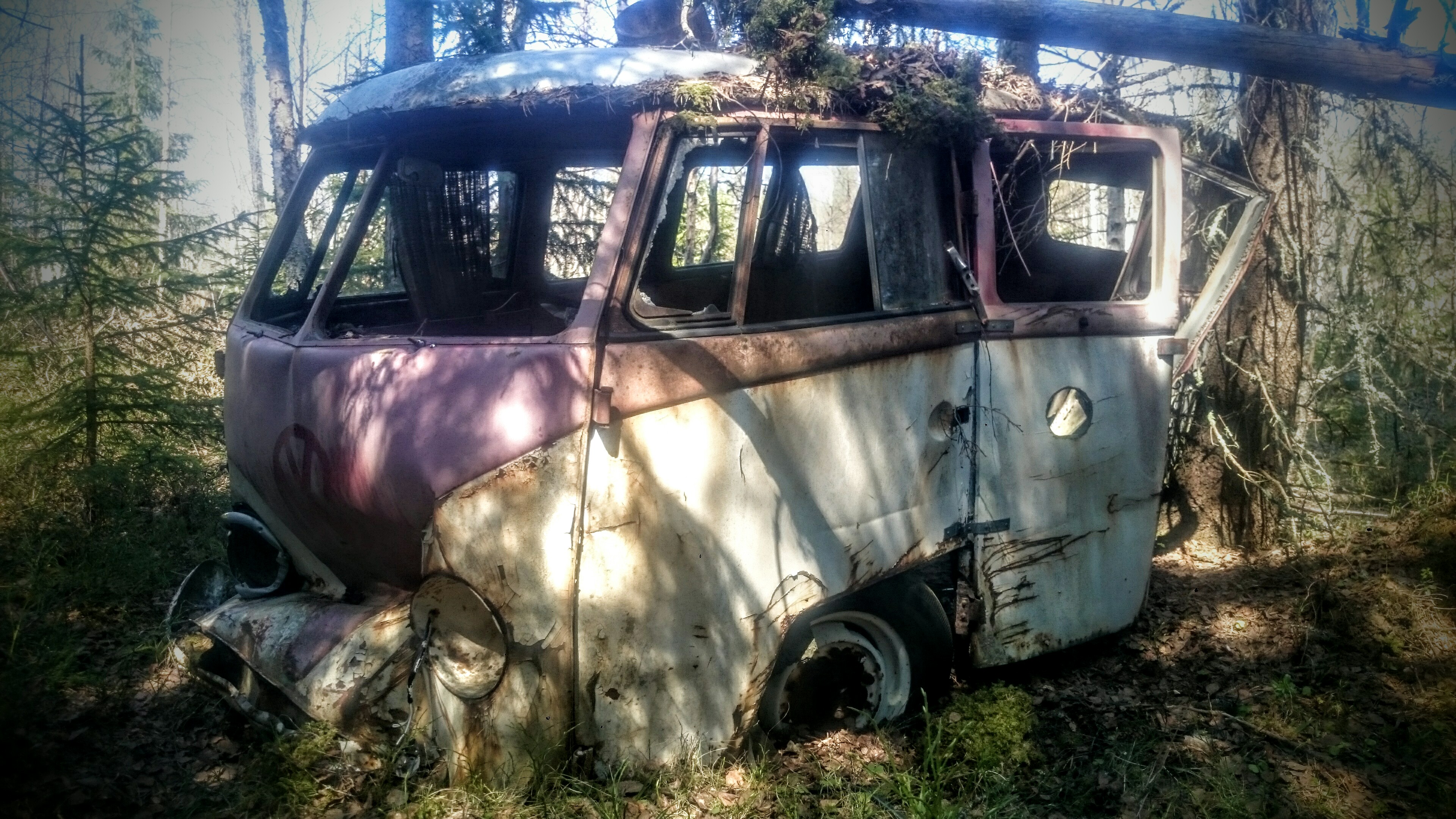 Skogsvrak vw buss Typ2 -56