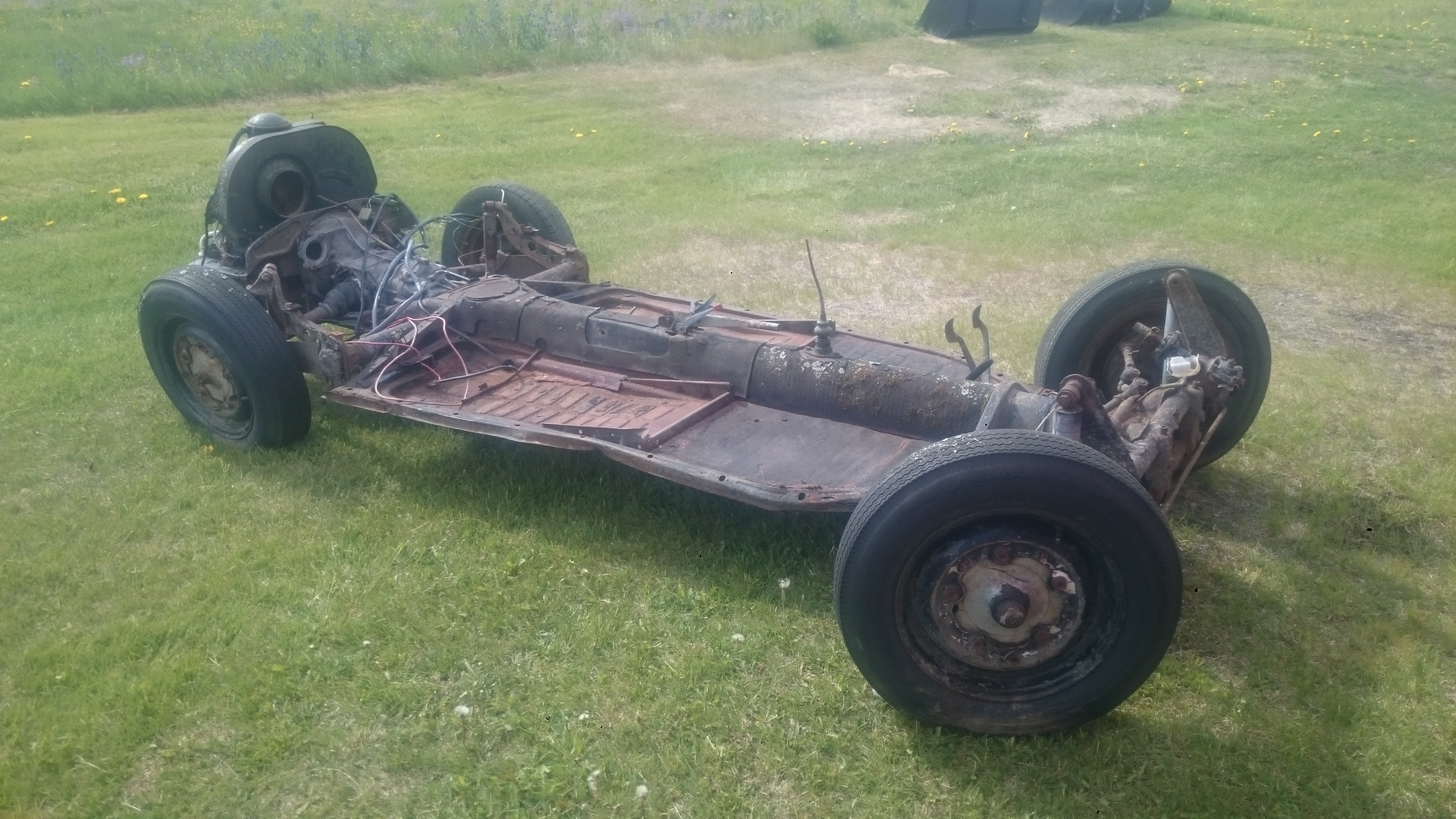 Vw platta från skogen