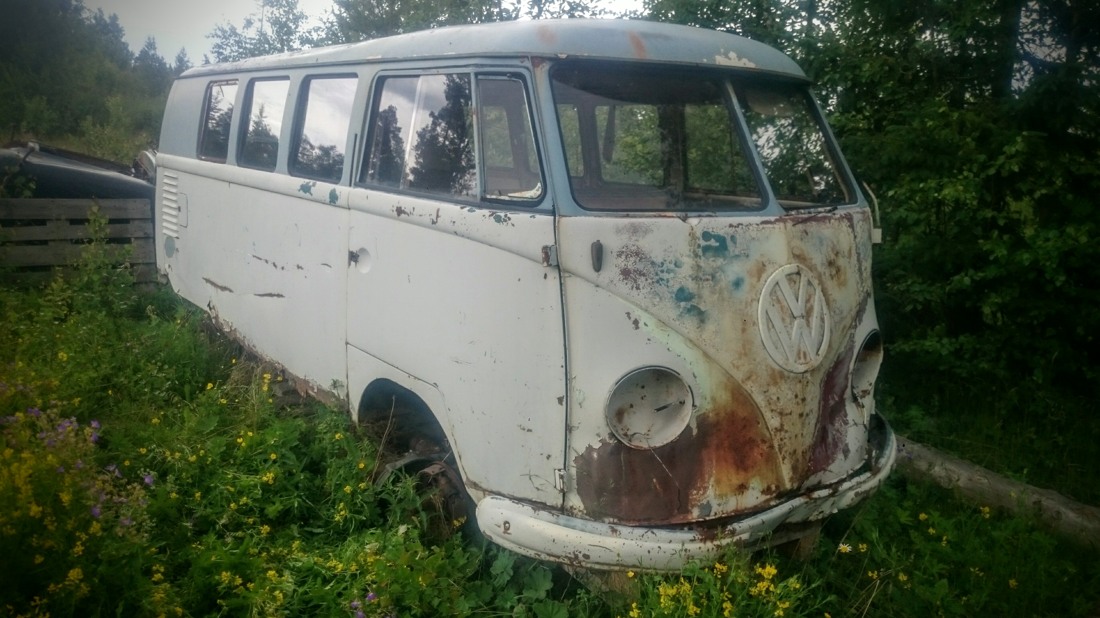 Volkswagen Typ2 1955