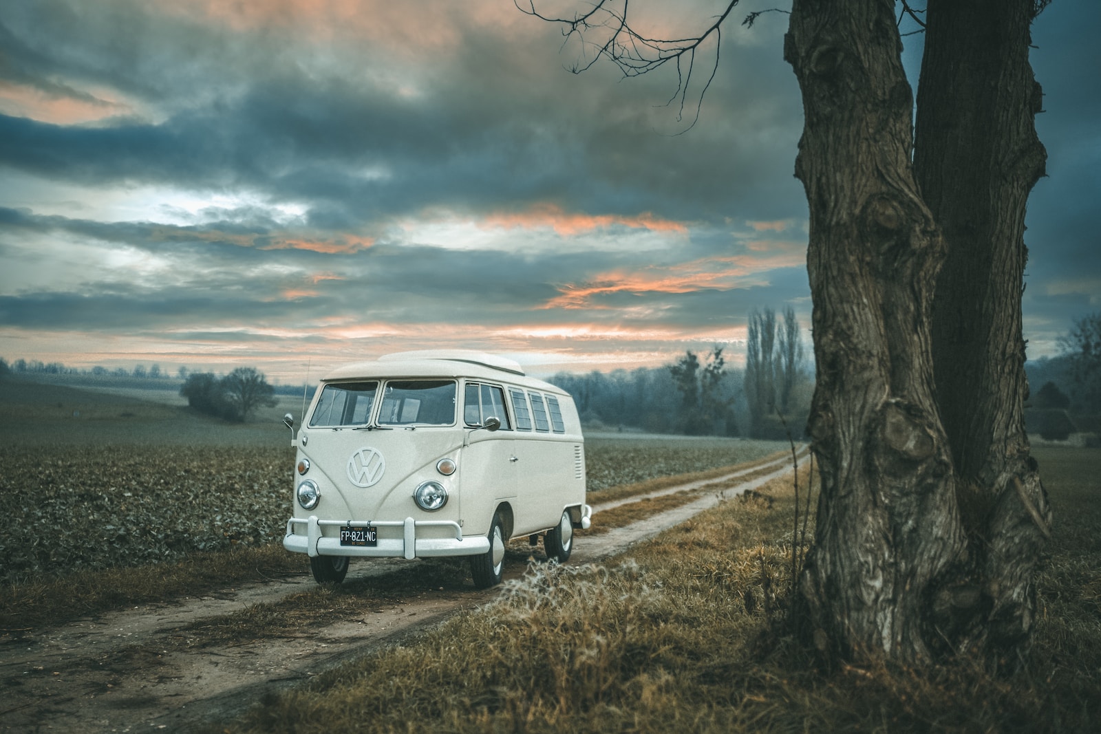 white volkswagen t-2 parked beside bare tree under cloudy sky during daytime